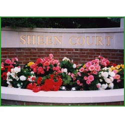 Sheen Court